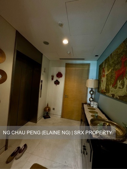 St. Regis Residences (D10), Apartment #538986851